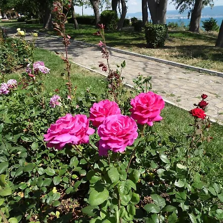 Family Dream Sunny Beach